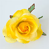 Honey rose head yellow